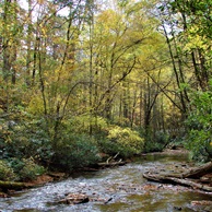 Looking Glass Creek